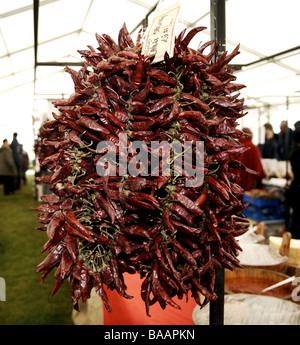 A string of red chilli peppers on display at the Fiery Food Festival in Brighton Sussex UK Stock Photo