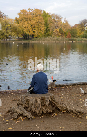 Older man enjoying a warm autumn day by the lake in Prospect Park Brooklyn NY Stock Photo