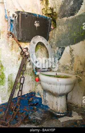 Ships anchor beside a dirty and disgusting toilet with a tulip placed on top Stock Photo