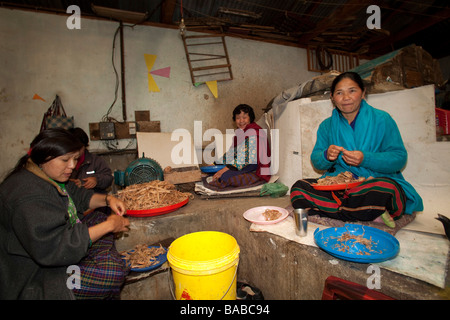 Women Workers stripping  fibers at Jungshi Handmade Paper Factory in Thimphu Bhutan, Asia 91017 Bhutan-Thimphu Stock Photo