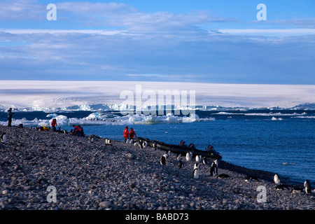 Adelie penguin Pygoscelis adeliae mingle with tourists and zodiac boats on Paulet Island Antarctic Peninsula Antarctica Stock Photo