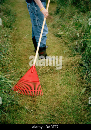 A rake on a lawn Sweden Stock Photo - Alamy