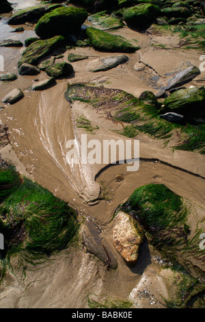Water running down beach past rocks covered in green sea moss Stock Photo