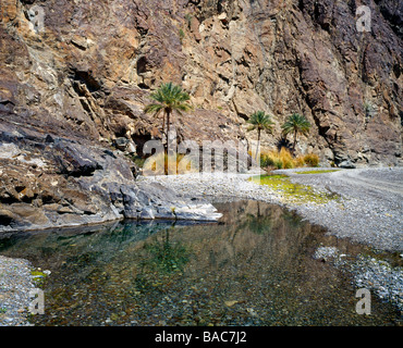 Pool in Wadi Abiyad Western Hajar Al Hajar al Gharbi Sultanat of Oman Stock Photo