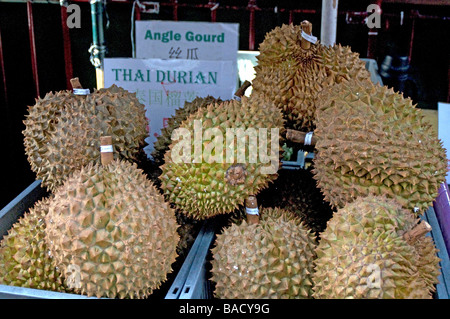 The durian is the fruit of several tree species belonging to the genus Durio and the Malvaceae family. Stock Photo