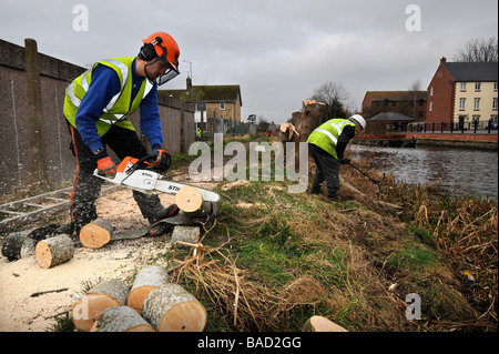 A WORK PARTY FROM THE COTSWOLD CANALS TRUST CLEARING TREES FROM THE TOW PATH AT STONEHOUSE AS PART OF THE RESTORATION WORKS ON T Stock Photo