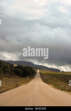 A long straight empty road stretching into the distance Two white ...