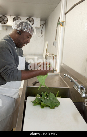 African American Farmers Cooperative Stock Photo