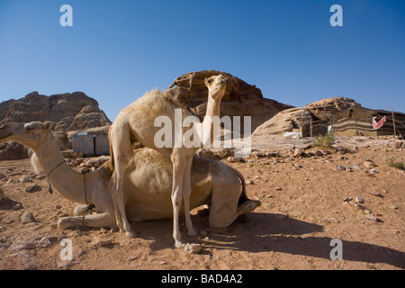 Mountain trail above the desert, Beidha (10 km. North of Petra) Archaeological Reserve Jordan Stock Photo