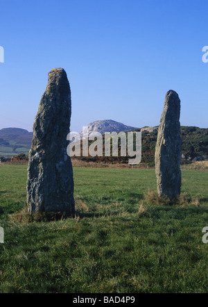 Penrhosfeilw Standing Stones and Holyhead Mountain Anglesey North Wales UK Stock Photo