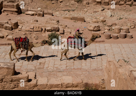 Bedouin of the Zawaideh tribe riding a camel at the ancient Colonnaded Street in the ancient Nabatean city of Petra Jordan Stock Photo