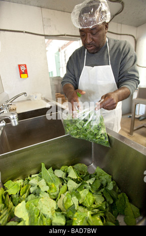 African American Farmers Cooperative Stock Photo