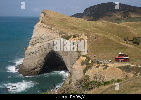 Cape Farewell Nature Reserve New Zealand Stock Photo