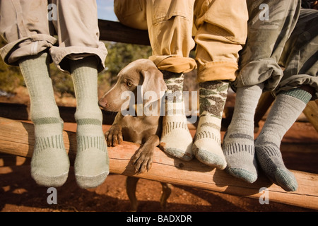 Close-up of Men's Feet with Weimaraner Dog, Garden of the Gods Park, Colorado Springs, Colorado, USA Stock Photo