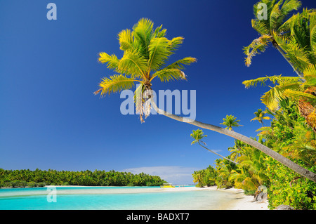 Beach, One Foot Island, Aitutaki Lagoon, Aitutaki, Cook Islands Stock Photo