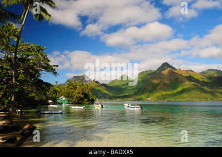 Opunohu Bay, Moorea, French Polynesia Stock Photo