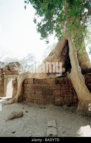 Angkor Wat, Siem Reap, Cambodia Stock Photo