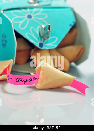 Take Out Box of Fortune Cookies Stock Photo