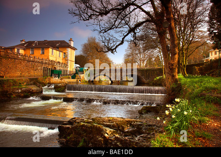 River Tavy, Tavistock, Devon, England. Stock Photo