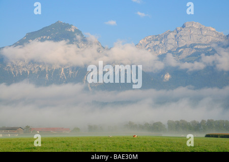 Fog and Mountains, Austria Stock Photo