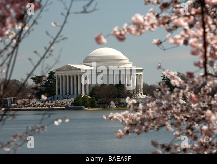 The Jefferson Memorial during the National Cherry Blossom festival in Washington, DC. Stock Photo