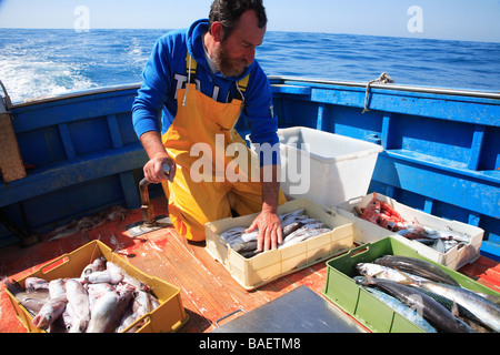 Fishing expedition, Maratea, Basilicata, Italy Stock Photo