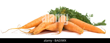 a bunch of carrots Stock Photo