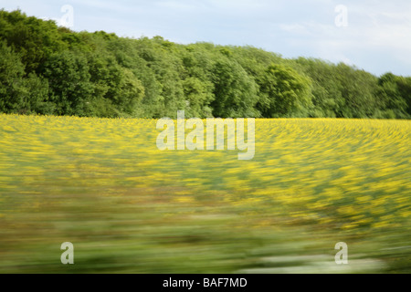 A field rushing past at speed Stock Photo