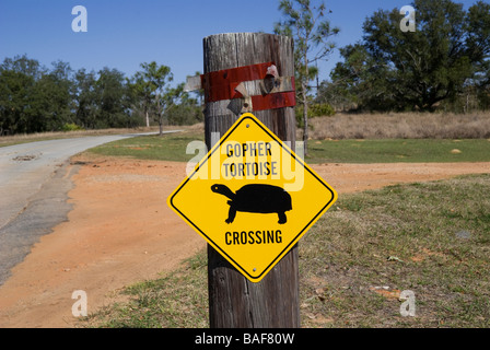 endangered gopher tortoise crossing sign at Bok Tower Gardens National Historic Landmark Lake Wales Florida Stock Photo