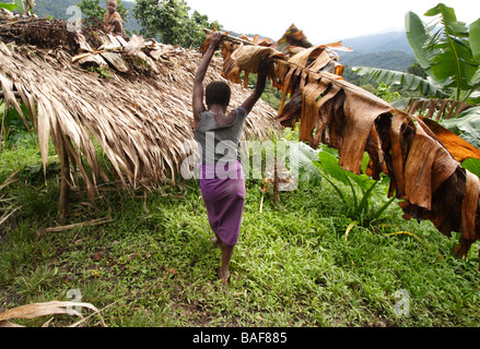 A local women carries branches of leaves for constructing her home in a small village in Papua New Guinea Stock Photo