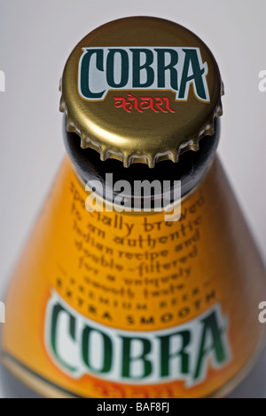 Cobra bottled beer. Stock Photo