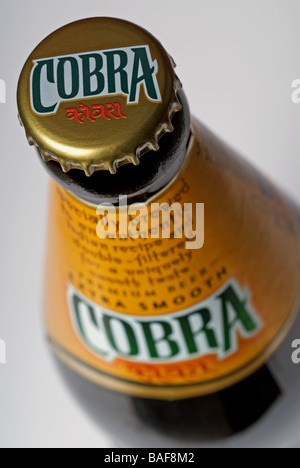 Cobra bottled beer. Stock Photo