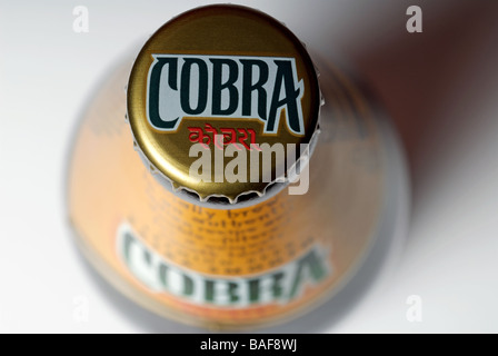 Cobra bottled beer. Stock Photo