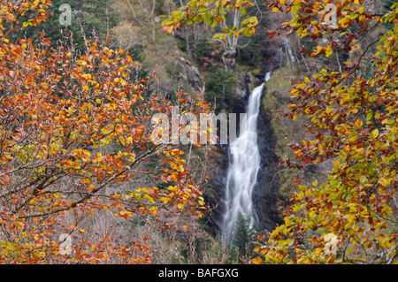 Waterfall in Beech forest in Artiga de Lin Aran Valley Lleida Spain Stock Photo