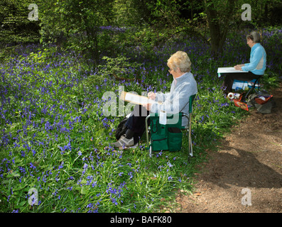 Two ladies drawing a bluebell scene Staffhurst Woods Surrey England UK Stock Photo