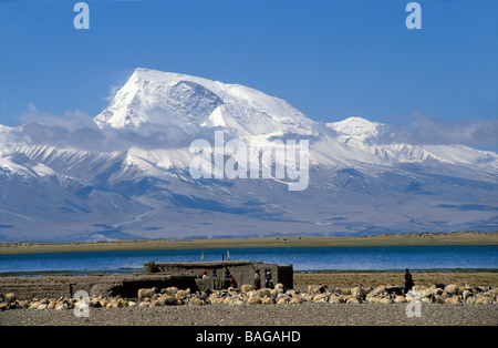 China, Tibet Autonomous Region, Ngari Prefecture, surroundings of Barkha, Gurla Mandhata Mount (7728 m) Stock Photo