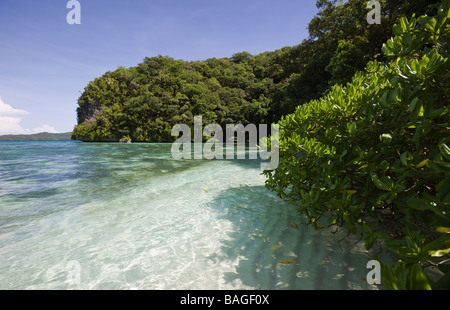 Beach in Rock Islands Micronesia Palau Stock Photo