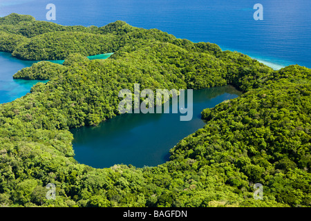 Aerial View of Jellyfish Lake of Palau Micronesia Palau Stock Photo