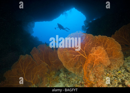 Diver in Siaes Tunnel Cave Siaes Tunnel Micronesia Palau Stock Photo