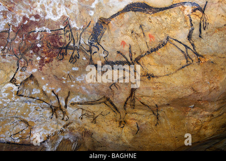 France, Ariege, Niaux, prehistoric cave, original paintings Stock Photo ...