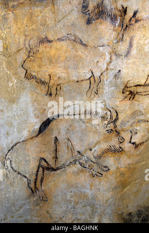 France, Ariege, Niaux, prehistoric cave, original paintings Stock Photo