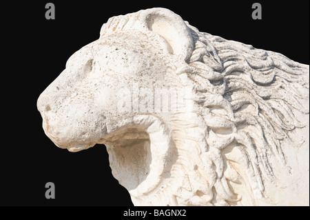 Lion Statue Apollo temple Didyma Turkey Stock Photo