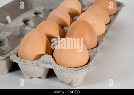 A dozen brown chicken eggs from free range chickens pasture chickens in a cardboard carton Stock Photo