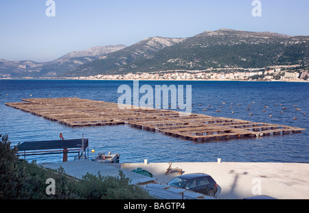 Fish farming Bosnia and Herzegovina and town Neum in the background It is only town on Bosnian 9 km long coastline Stock Photo