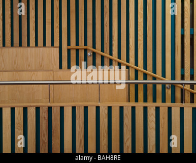 RUNNYMEDE CIVIC CENTRE, FEILDEN CLEGG ARCHITECTS, ADDLESTONE, UNITED KINGDOM Stock Photo