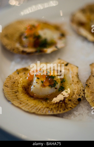 scallops with salmon roe Stock Photo