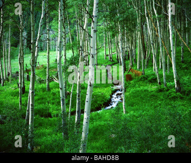 Classic Rocky Mountain scene in spring Stock Photo