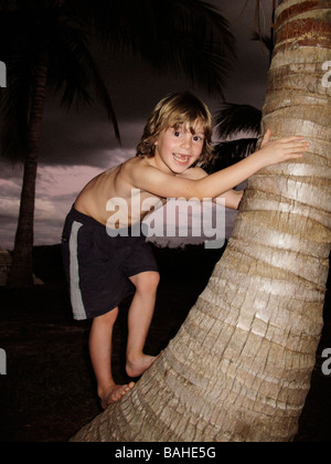 young boy climbing a palm tree in florida Stock Photo