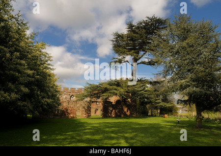 Acton Burnell Castle, Shropshire, West Midlands Stock Photo