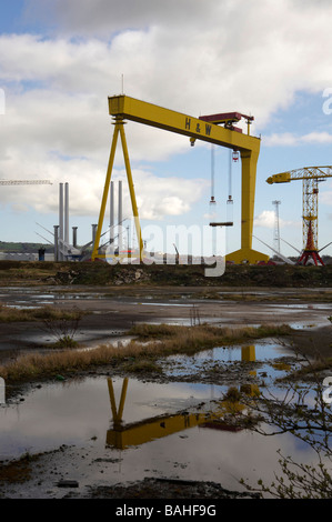 The disused cranes at Harland and Wolfe Shipyard, Belfast, Northern Ireland Stock Photo